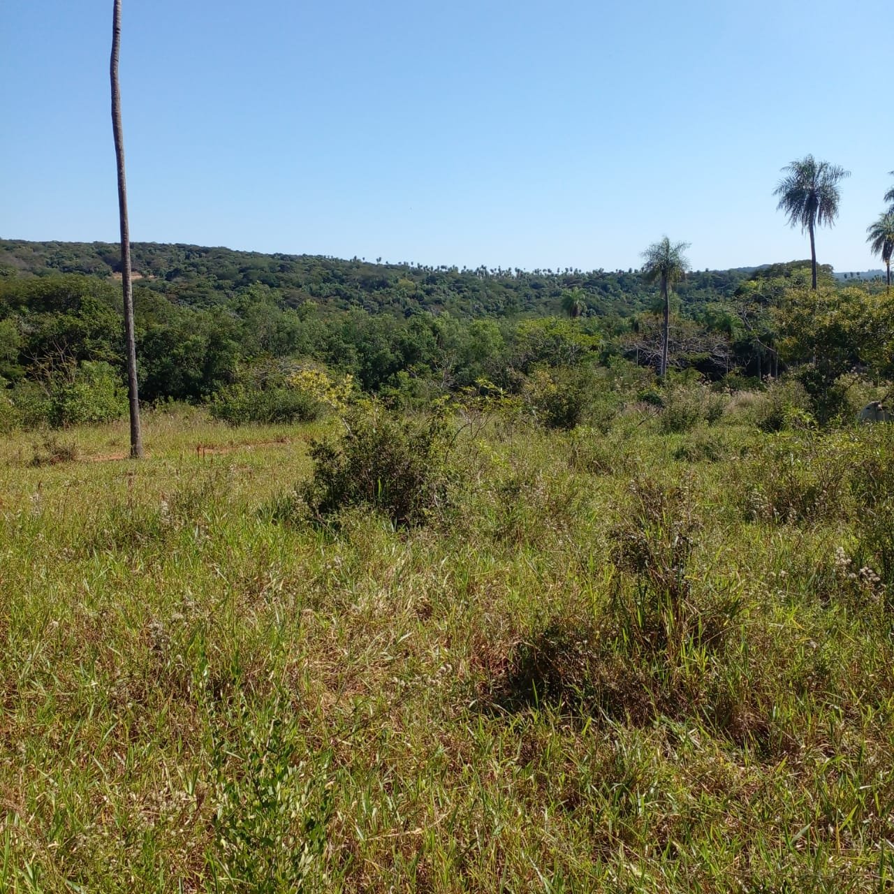 Vista panorámica del terreno