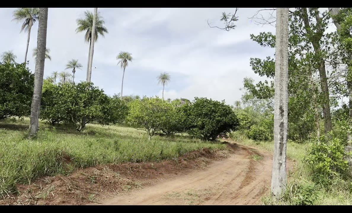 Recorrido completo del terreno